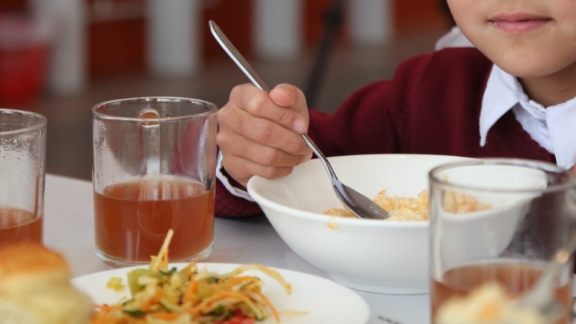 В Беларуси в школьных столовых нашли тайники с продуктами школьные обеды