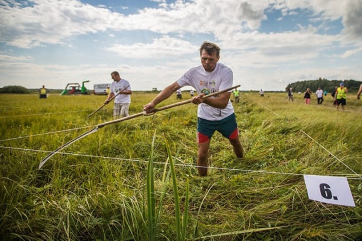 Белорусов обязали косить траву на участках и убирать снег вокруг машин Косит траву