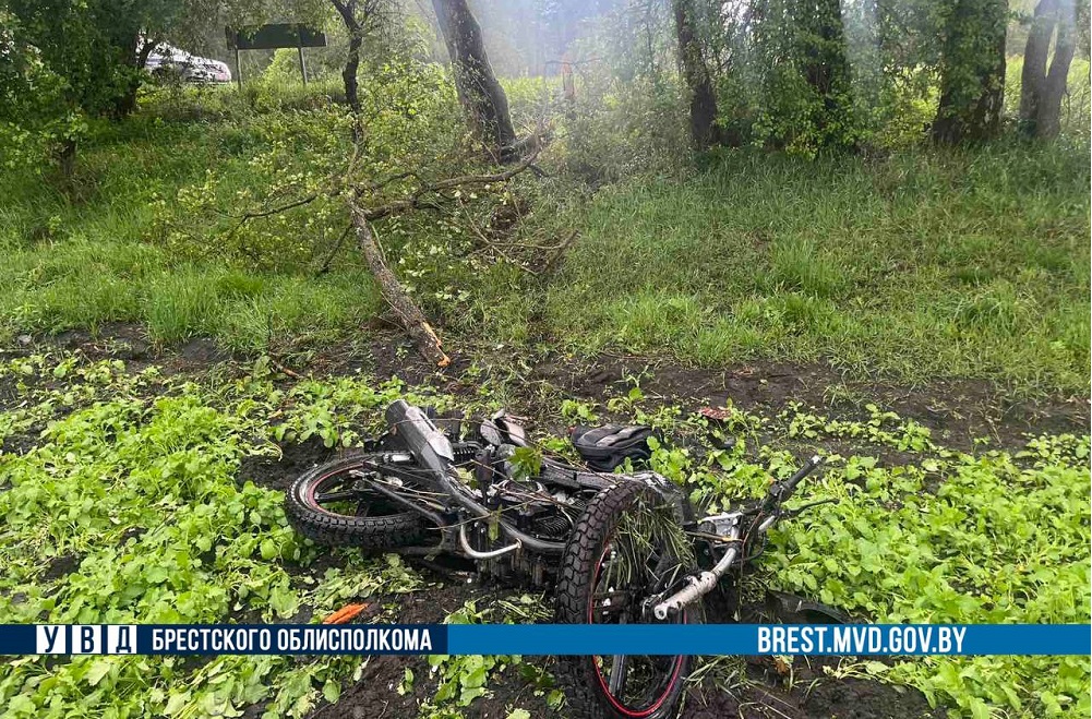 Два человека попали в больницу после ДТП в Ивацевичском районе ДТП в Ивацевичском районе