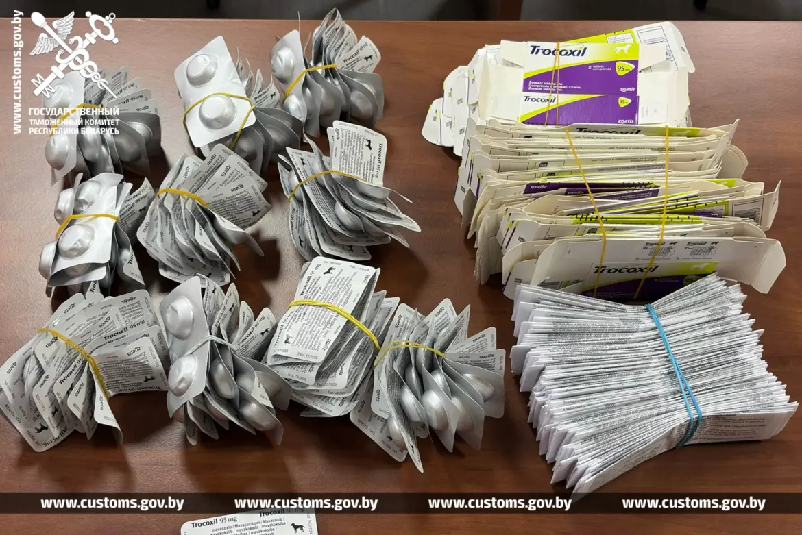 Отпариватель задекларировал, ветпрепараты спрятал в рюкзаке лекарства